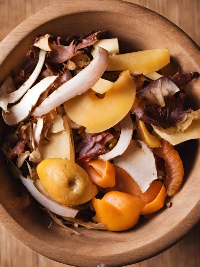 How to Use All Your Food Scraps - Little House Living