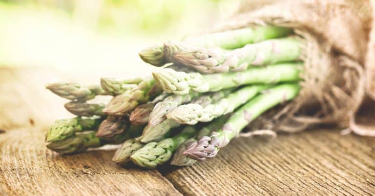 10 Springtime Asparagus Appetizers Recipes