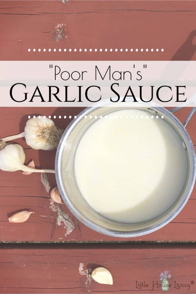 Simple Garlic Sauce Recipe
