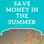 Need to save more money this summer? Here are some simple ideas on how you can save money in the summer.