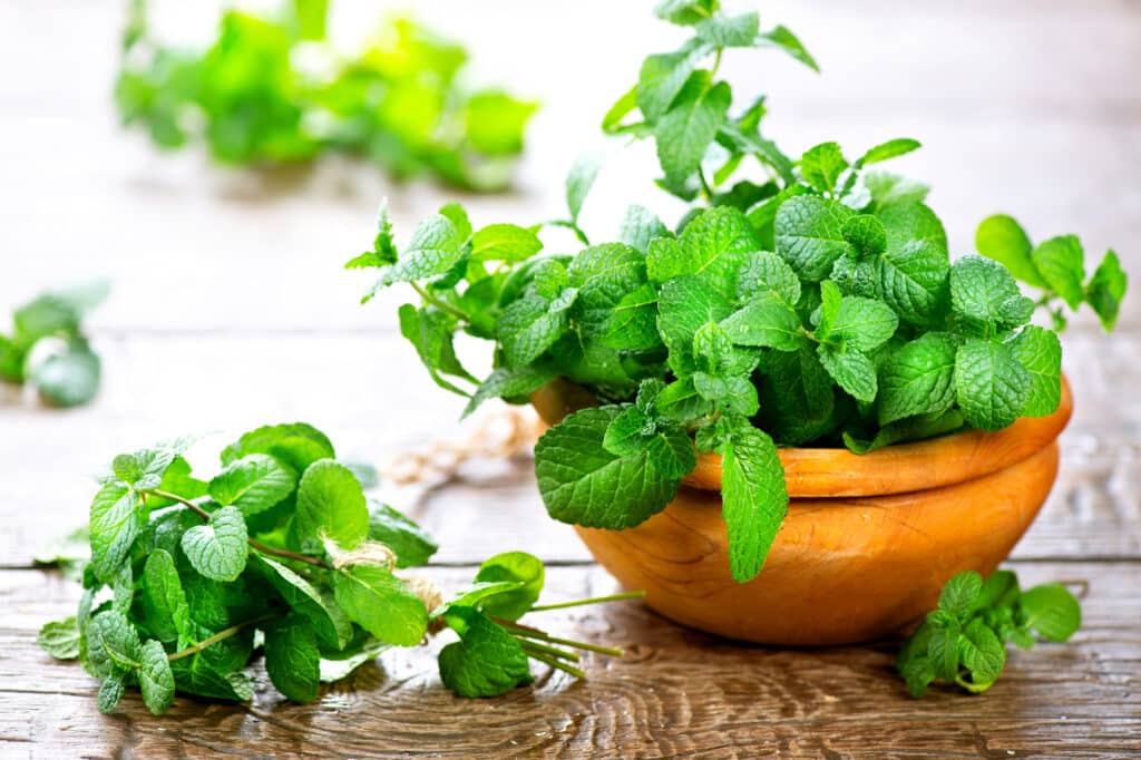 Fresh mint in a wooden bowl on a wooden table