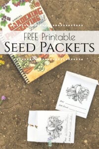 Free Seed Packet Printable - Printable Seed Packet - Little House Living