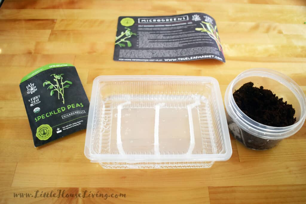 Microgreen Container