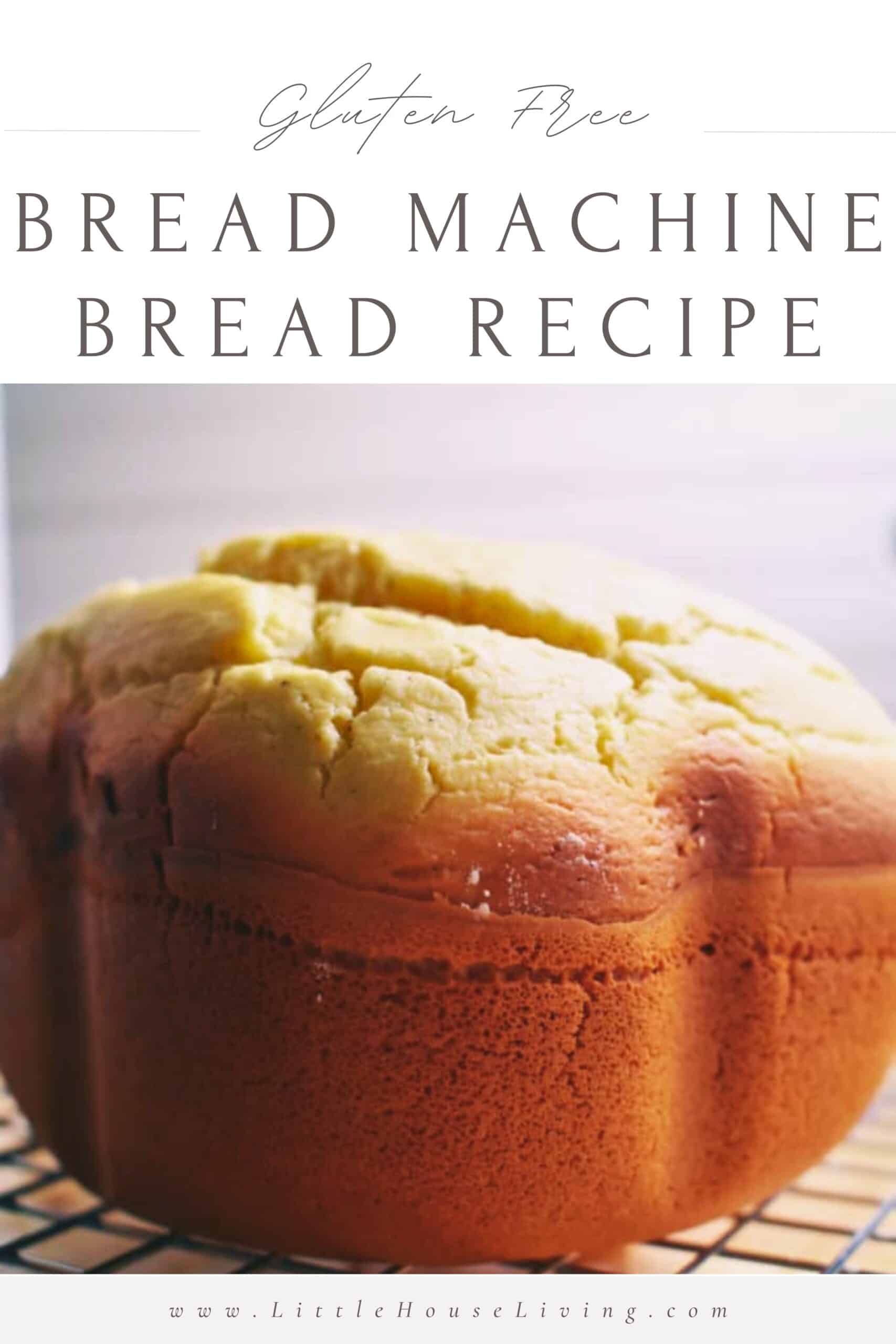Are you looking for the perfect homemade gluten-free bread to make for your family? This easy recipe will make you wonder why you ever bought it!