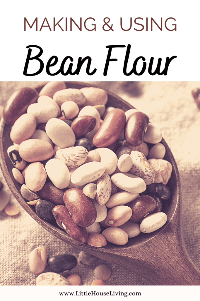 Making and Using Bean Flour