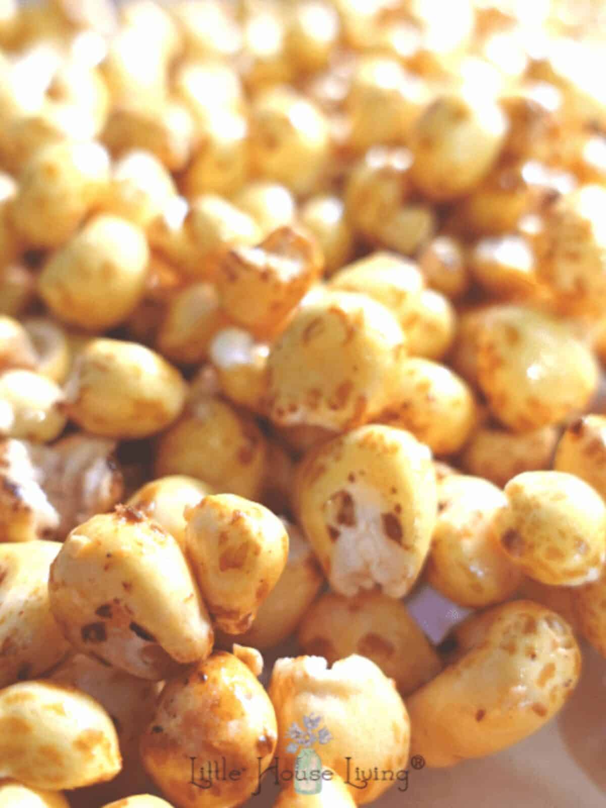Looking for a simple sweet treat to make for an afternoon snack? This Honey Puffed Corn Recipe only needs 3 ingredients and a little time!