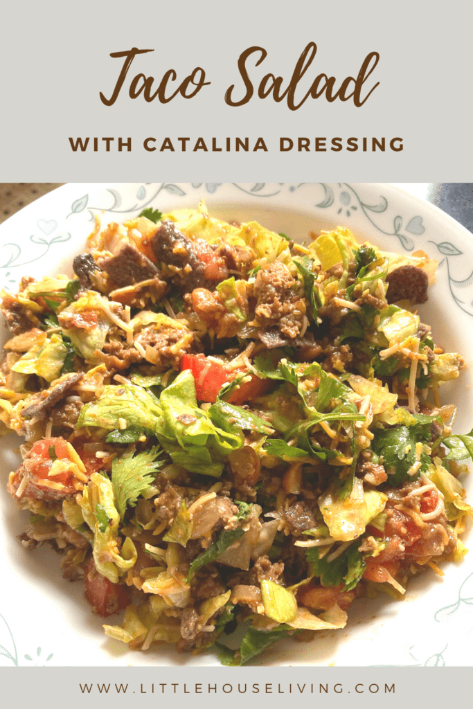 Need a simple and quick meal that the whole family will love? This Taco Salad with Catalina Dressing can be made in less than 30 minutes and is easier to eat and put together than regular tacos.