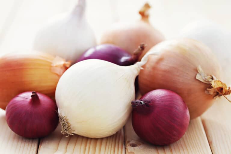 How Long Do Onions Last in the Pantry? Best Storage Ideas