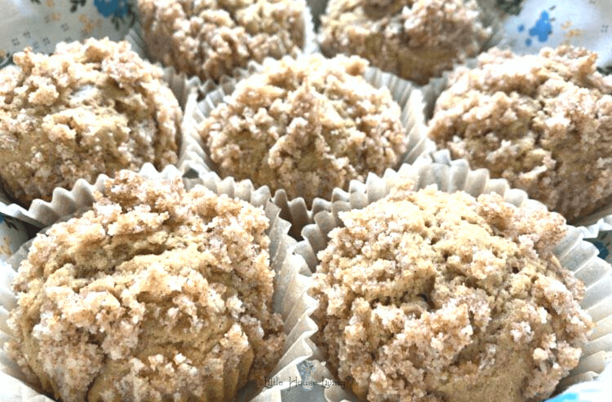 Cinnamon Muffins Recipe