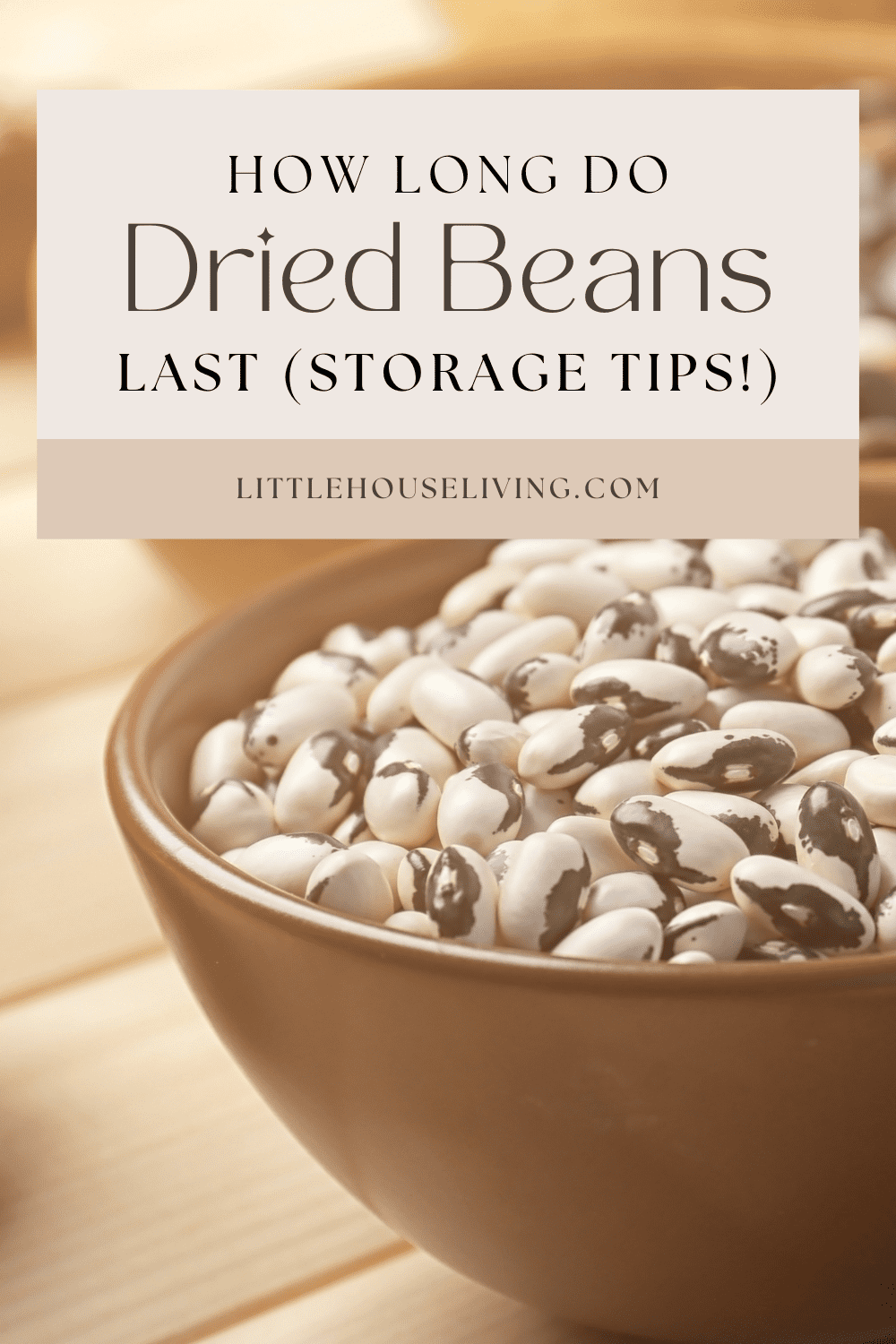 Do you want to store dried beans long-term but are not sure the best way to store them? Just how long do dried beans last? Let's learn together today so that you can build your stockpile tomorrow!