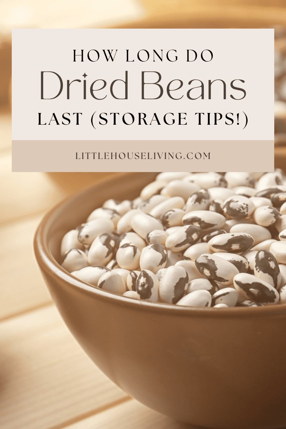 Bulk Pinto Beans – 4 Gallon Bucket – 30 Lbs – 128 Servings – Long-Term Storage