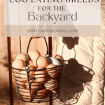 Are you investing in some chickens this year? Today I'm sharing with you some of the Best Egg Laying Chickens for the Backyard that you might want to consider as you build your flock!