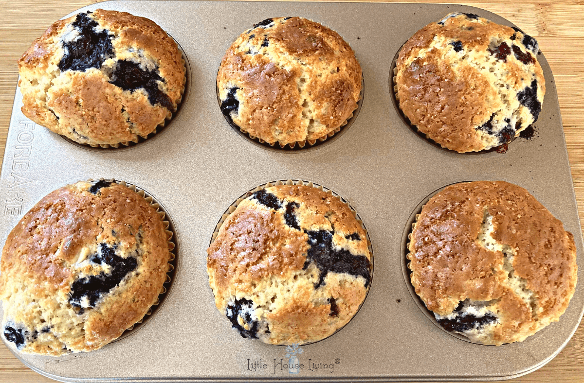 Baked Muffins Buttermilk