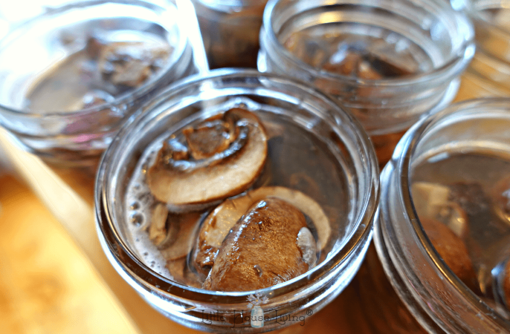 Water in mushroom jars