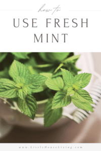 12 Uses for Mint You Need to Try