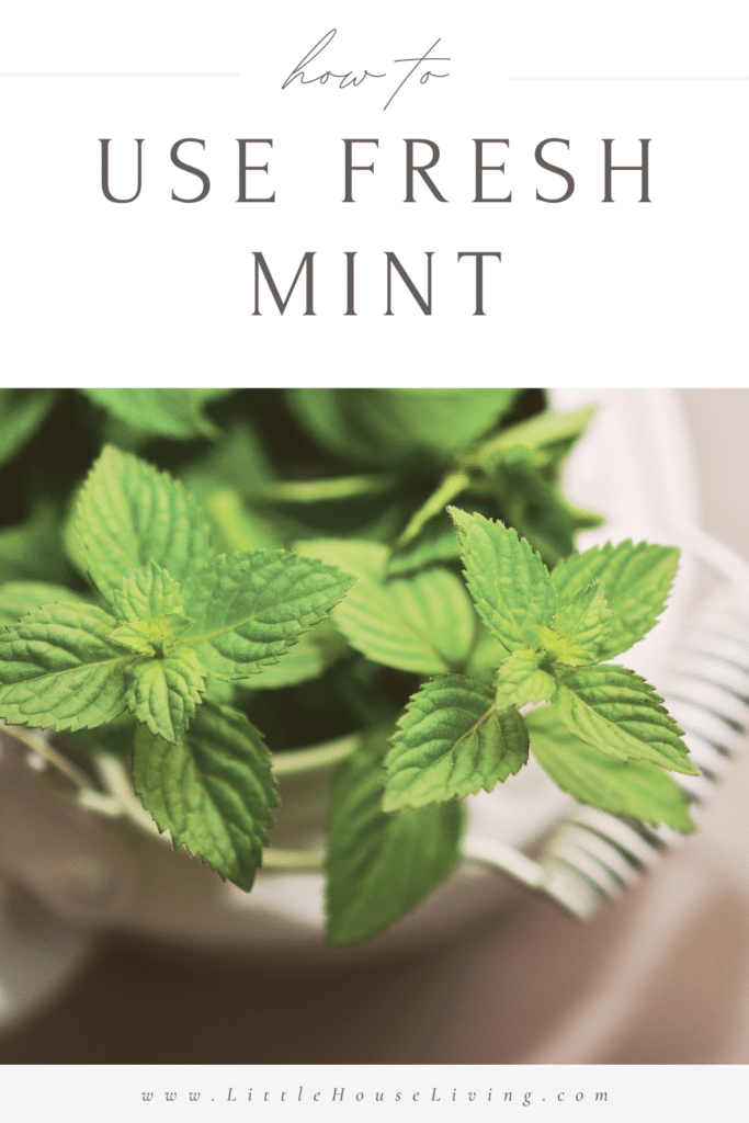 Do you grow mint in your garden or perhaps you may have picked up a little too much at the store this week? Find ways to use it up with all of these uses for mint!