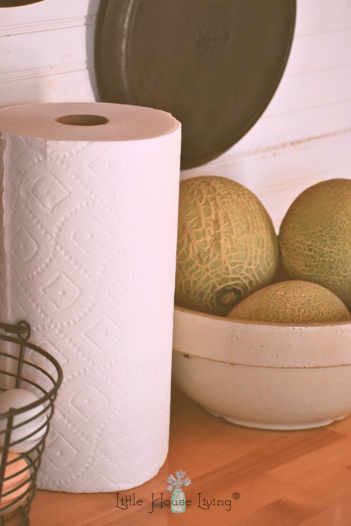 Paper Towels with cantaloupe