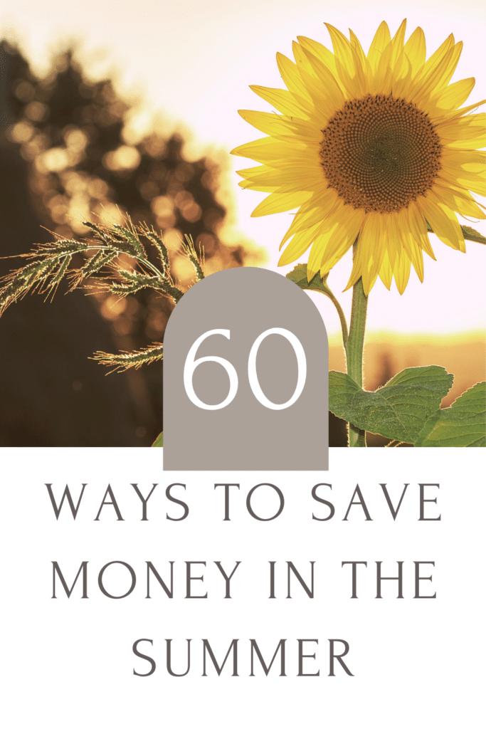 Need to save more money this summer? Here are some simple ideas on how you can save money in the summer.