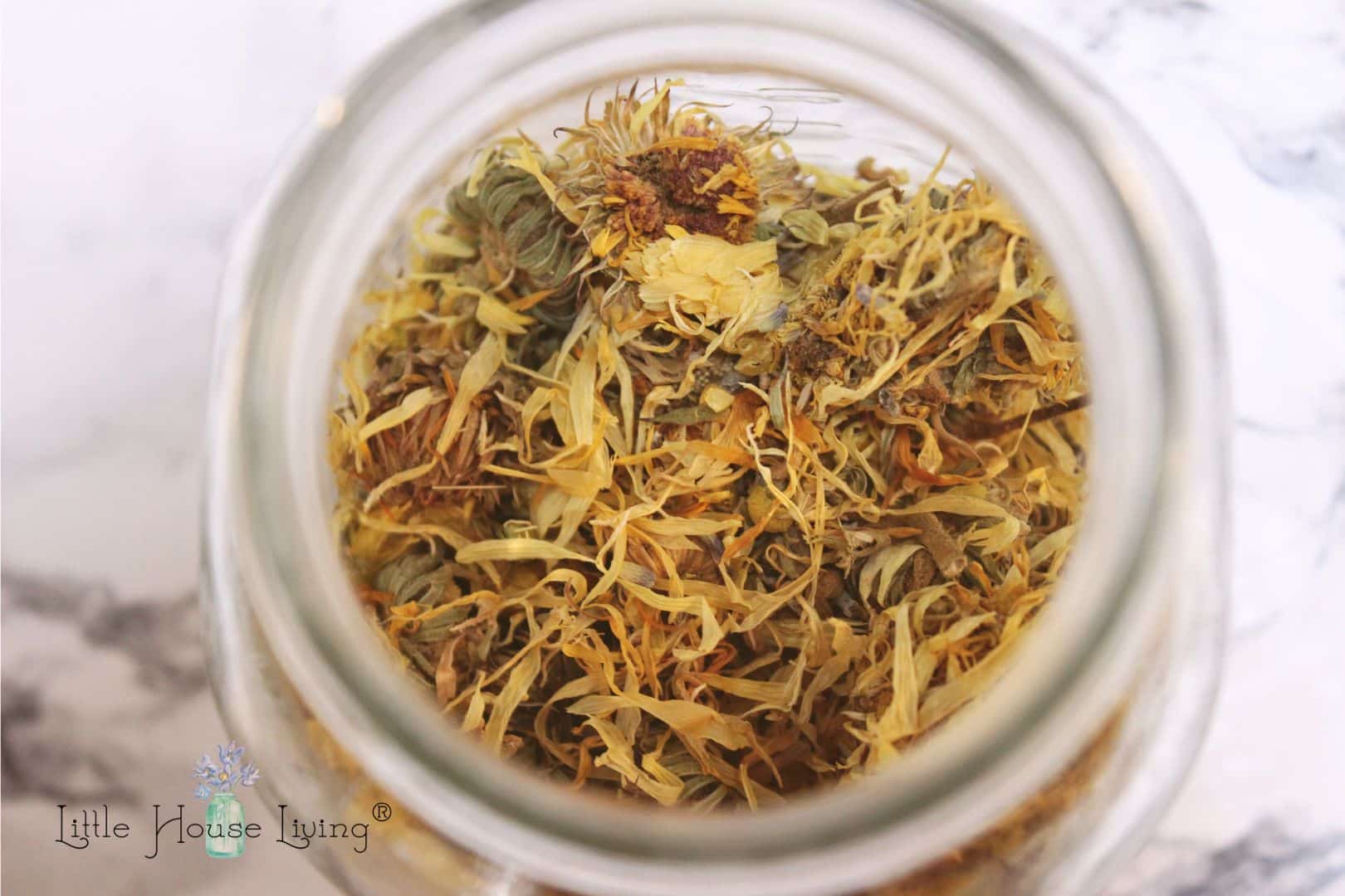 aloe vera powder, comfrey leaves, lavender, and calendula on a jar