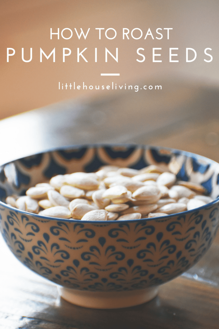 Drying Pumpkin Seeds & Making Flavored Pumpkin Seeds