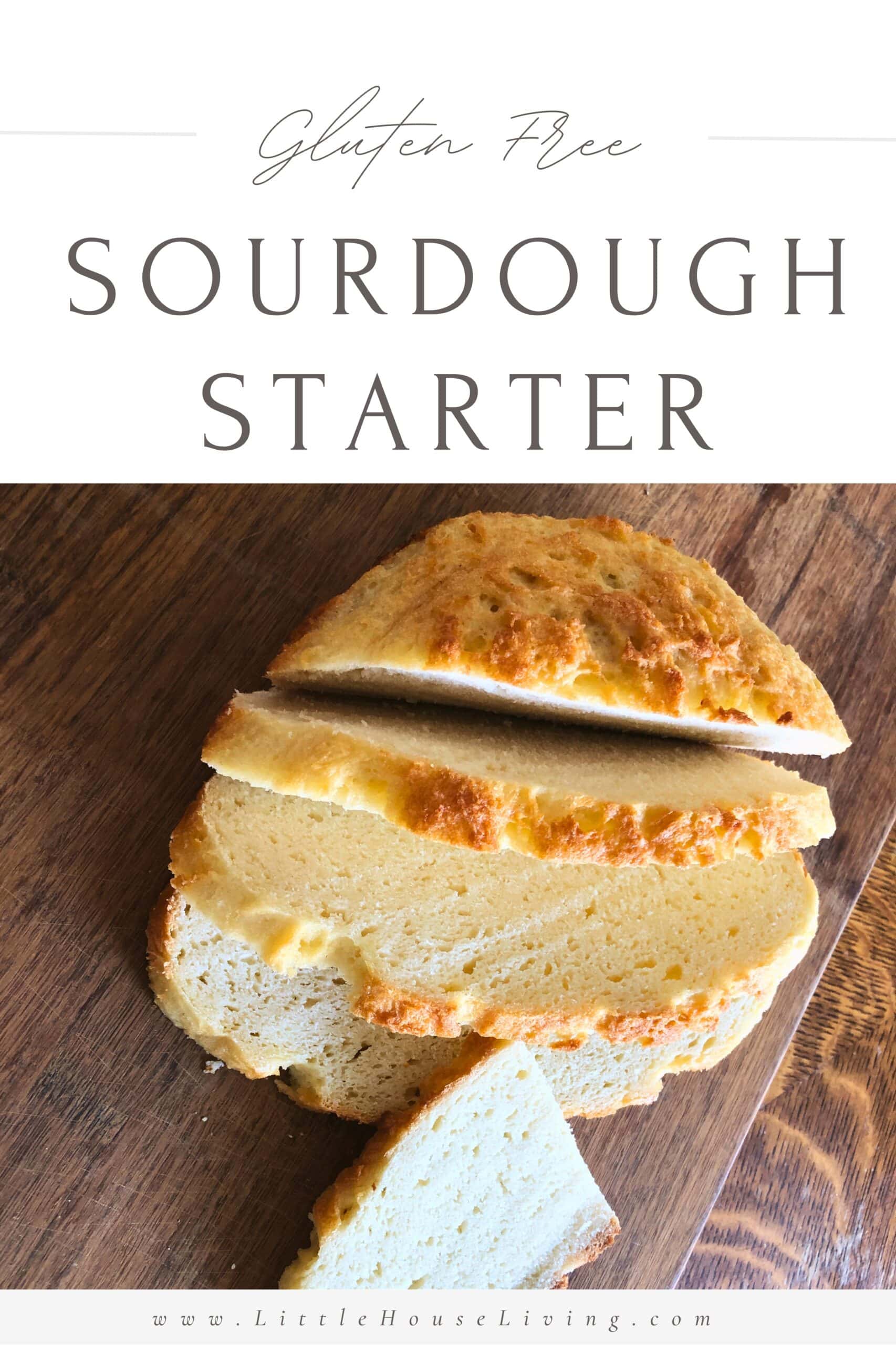 Are you a gluten-free enthusiast who misses the tangy and delicious flavor of sourdough bread? Look no further! In this blog post, our guest will guide you through the process of creating your very own gluten-free sourdough starter.