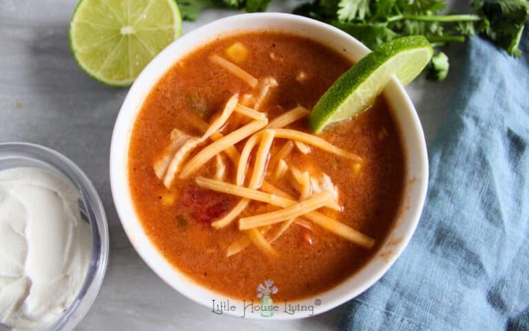 Southwest Soup