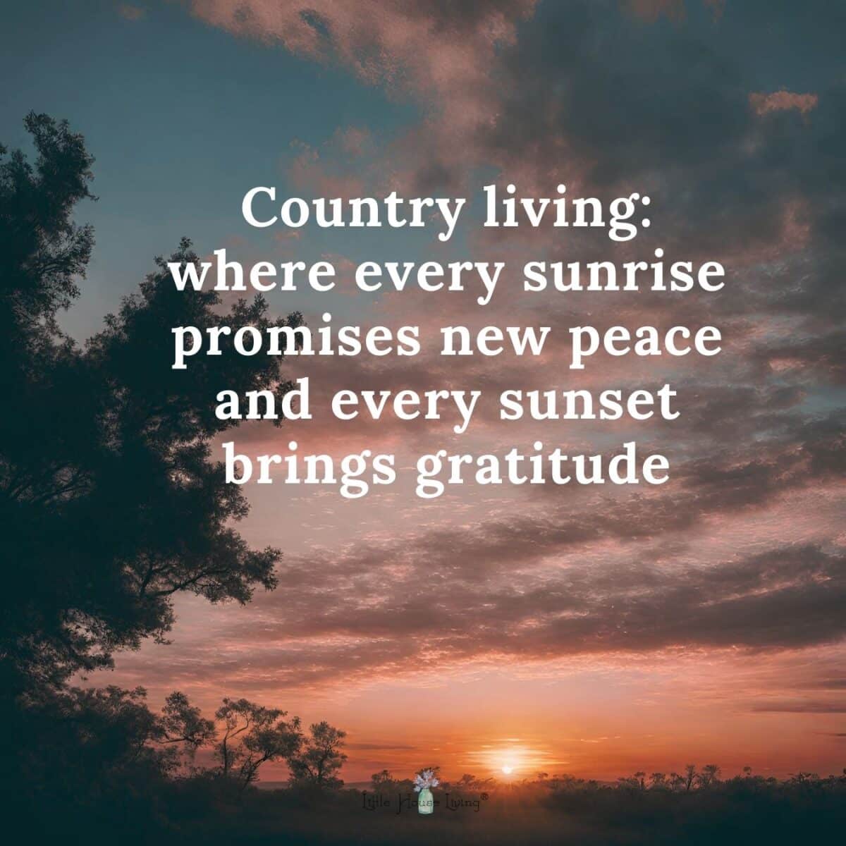 Country living: 
where every sunrise promises new peace and every sunset brings gratitude