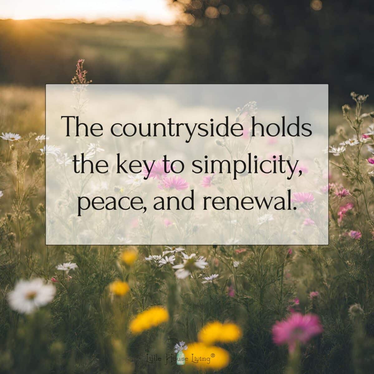 The countryside holds the key to simplicity, peace, and renewal.
