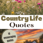 Country Life Quotes