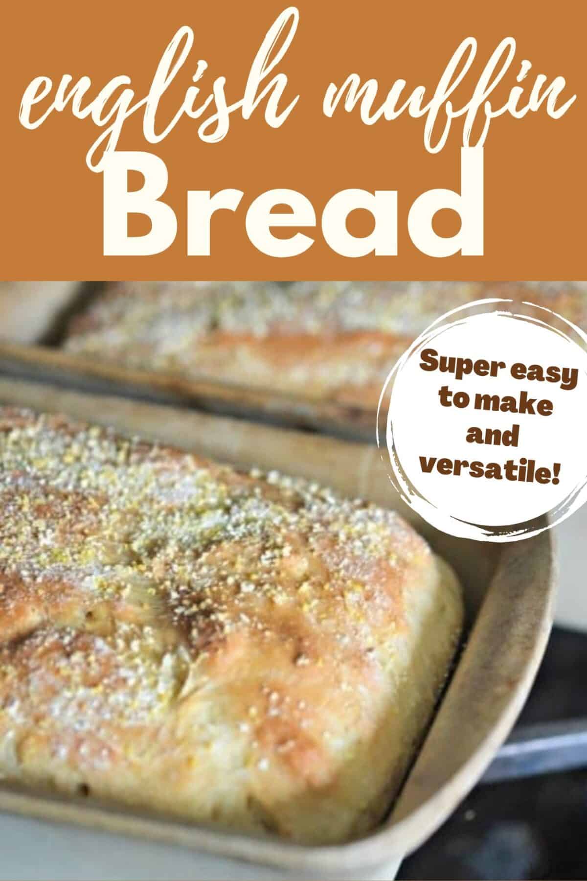 Homemade English Muffin Bread Recipe - No Knead Bread