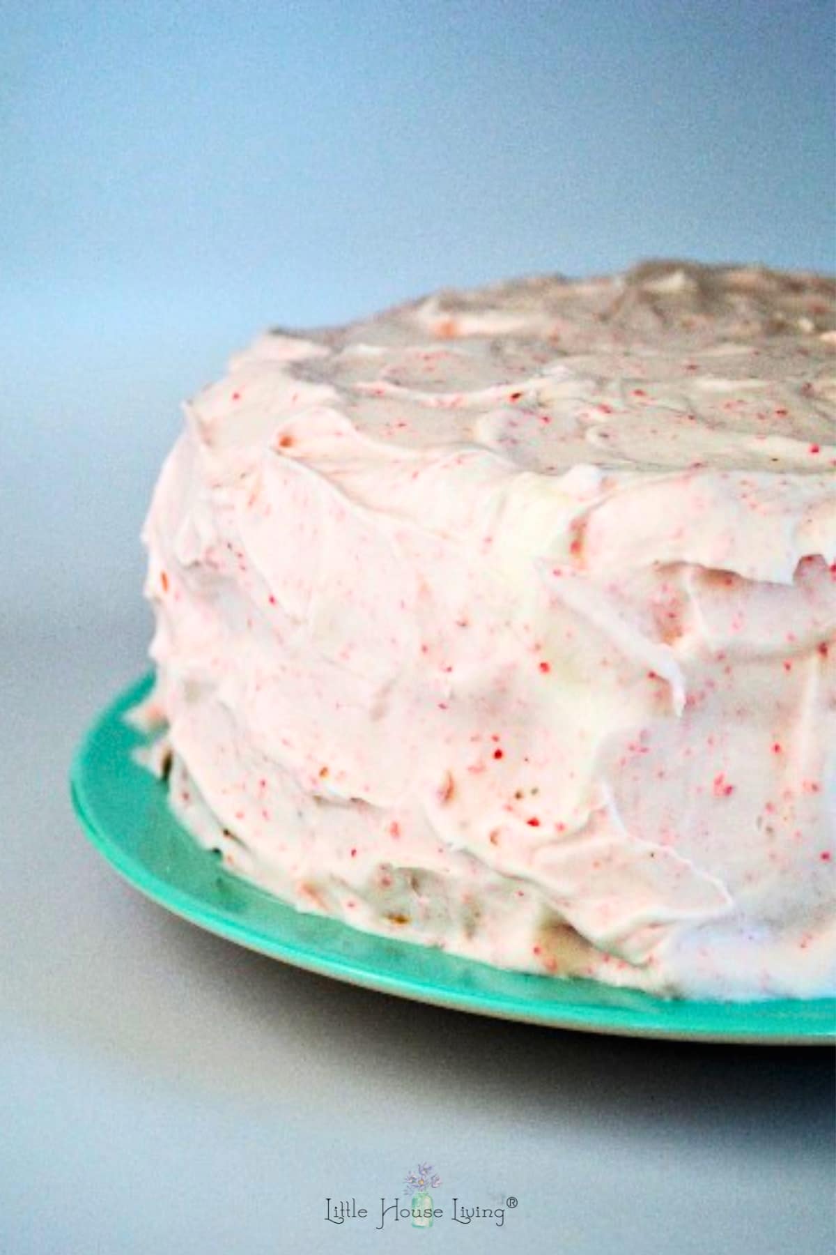 homemade strawberry cake with strawberry icing