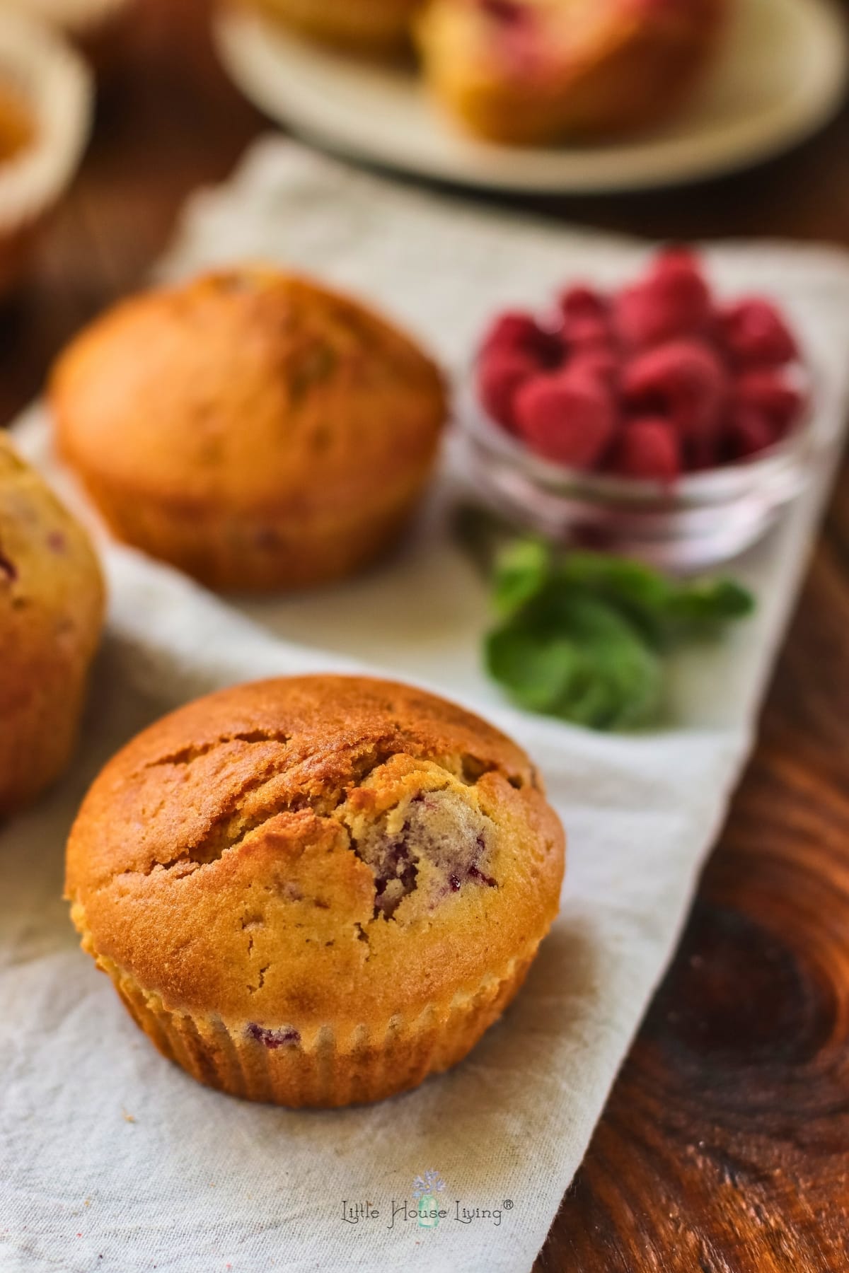 homemade raspberry muffin
