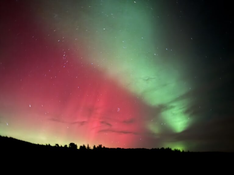 What We Did This Week: Travel & Baking