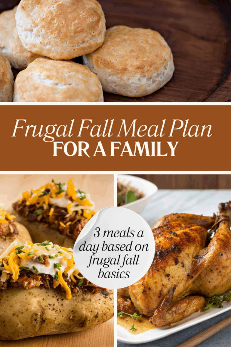 cheap meal plans 11