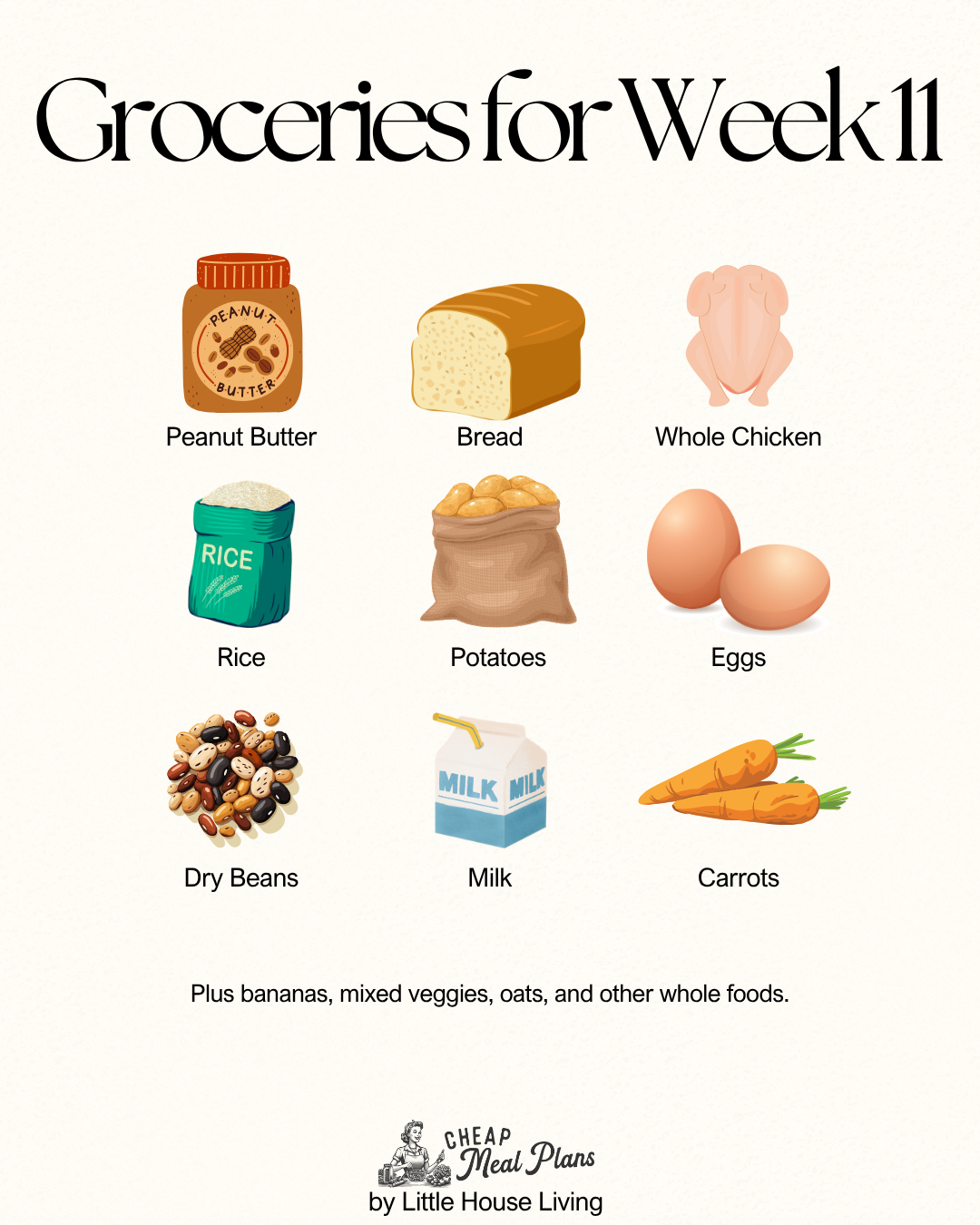 cheap meal plans 11 groceries