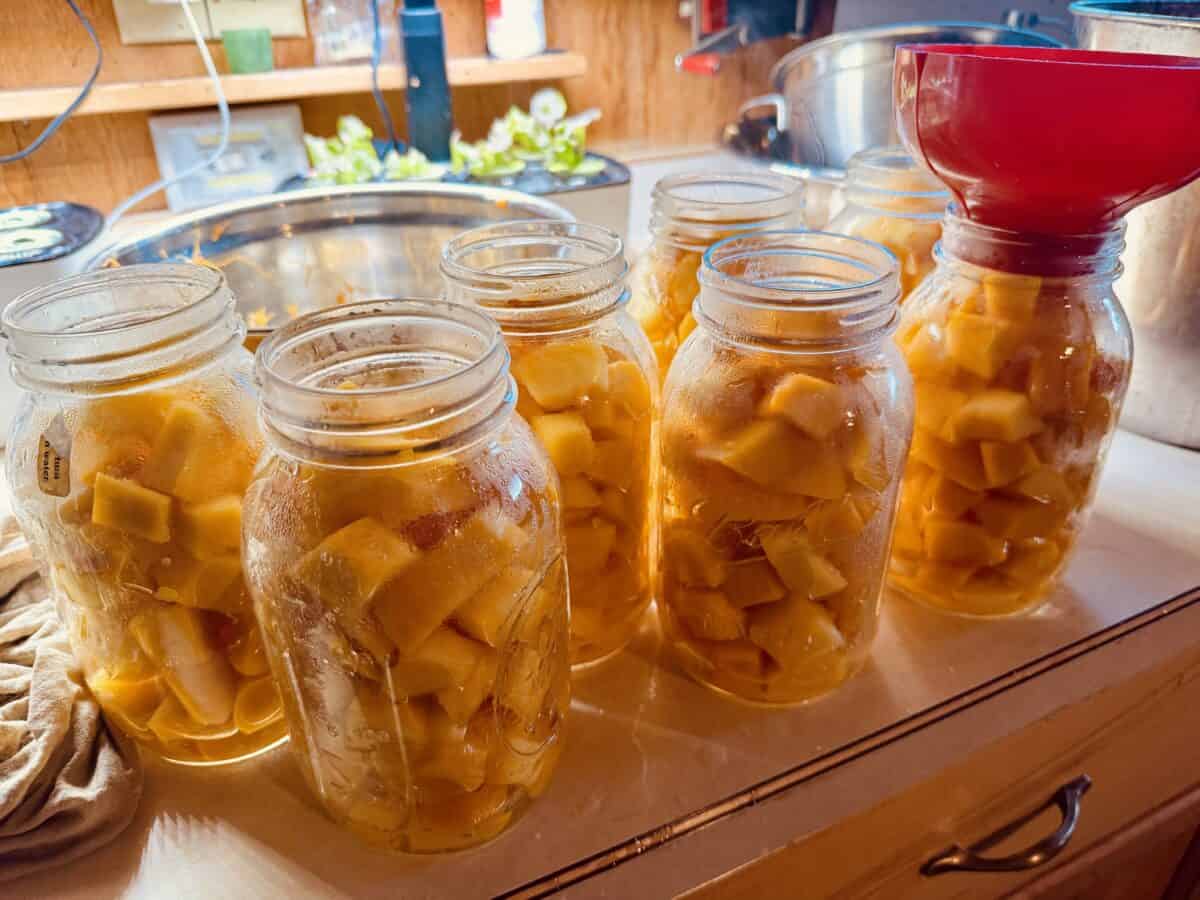 pumpkin in jars