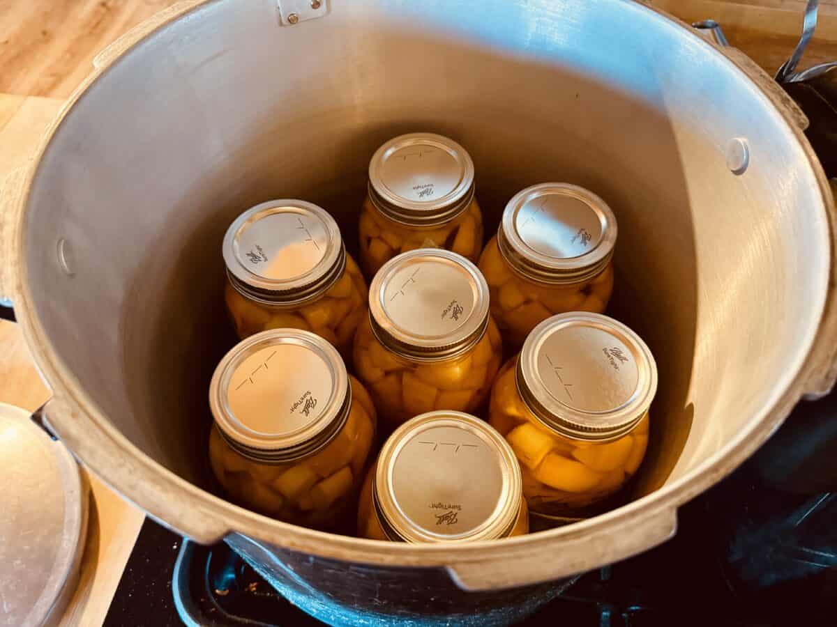 pumpkin in pressure canner