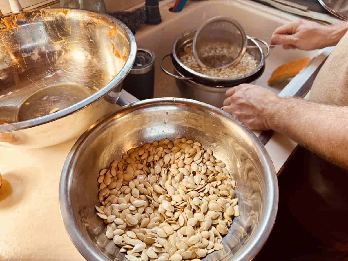 pumpkin seeds