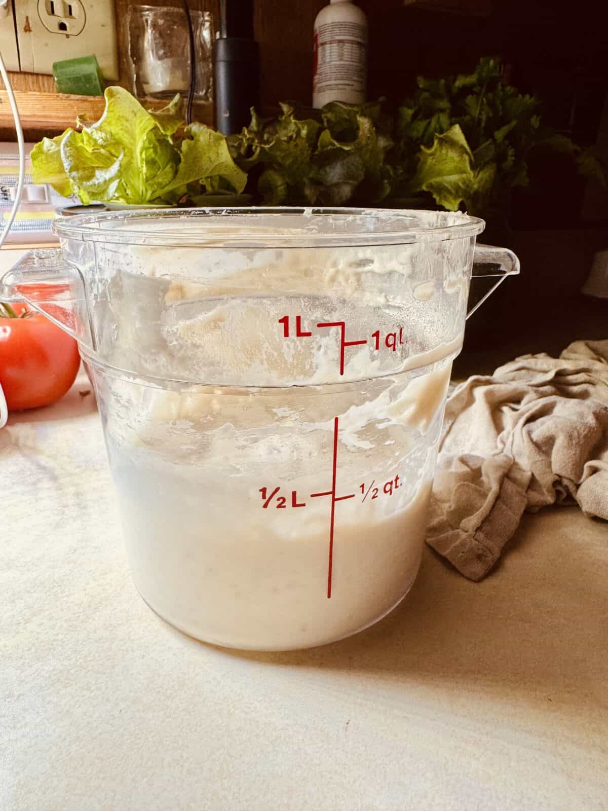 sourdough starter
