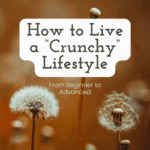 crunchy life pin
