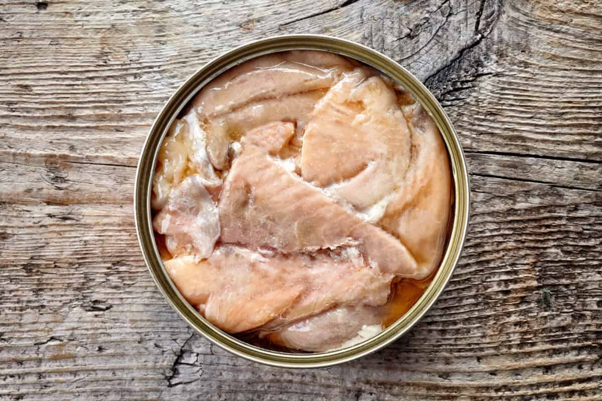 canned salmon