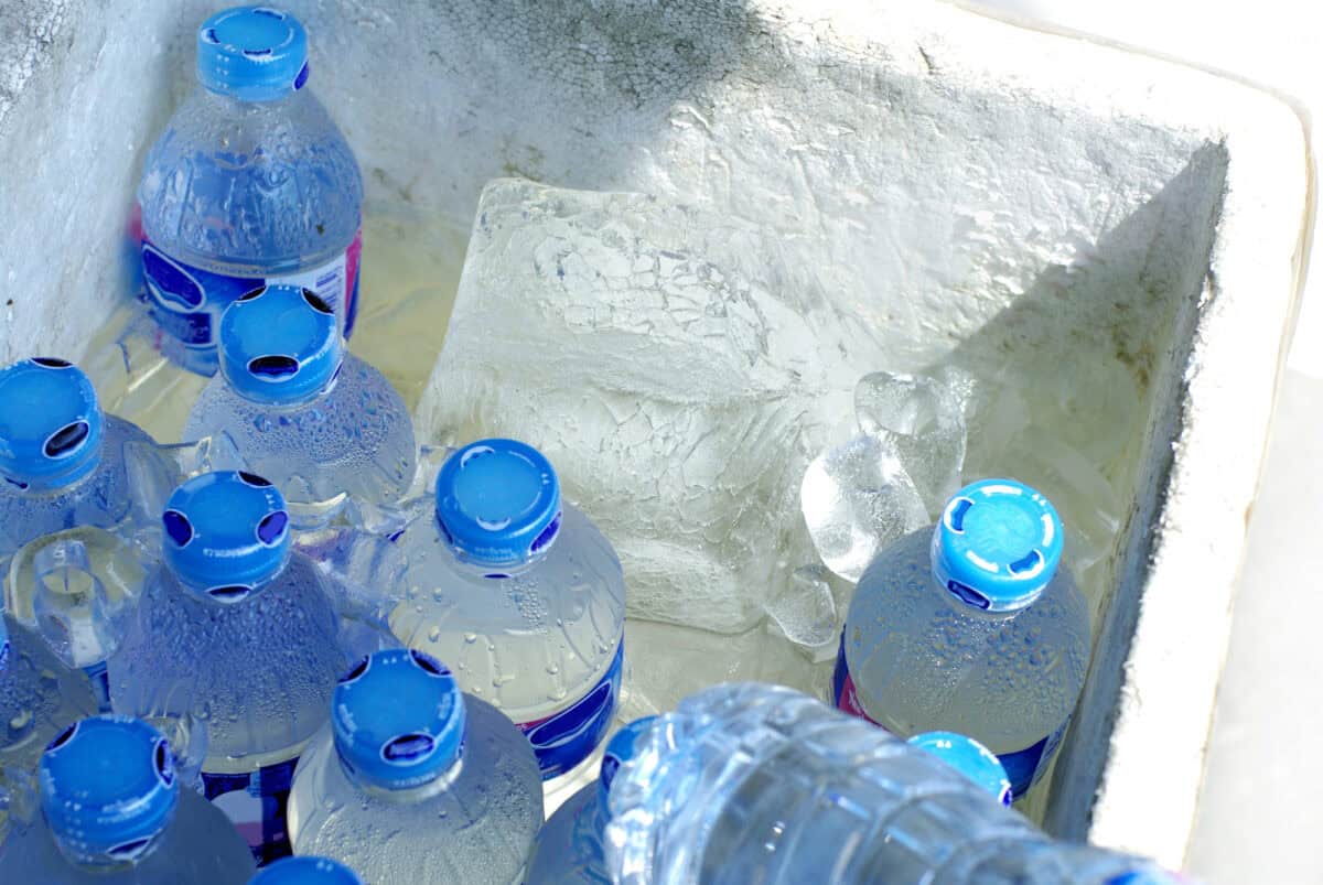 frozen water bottles