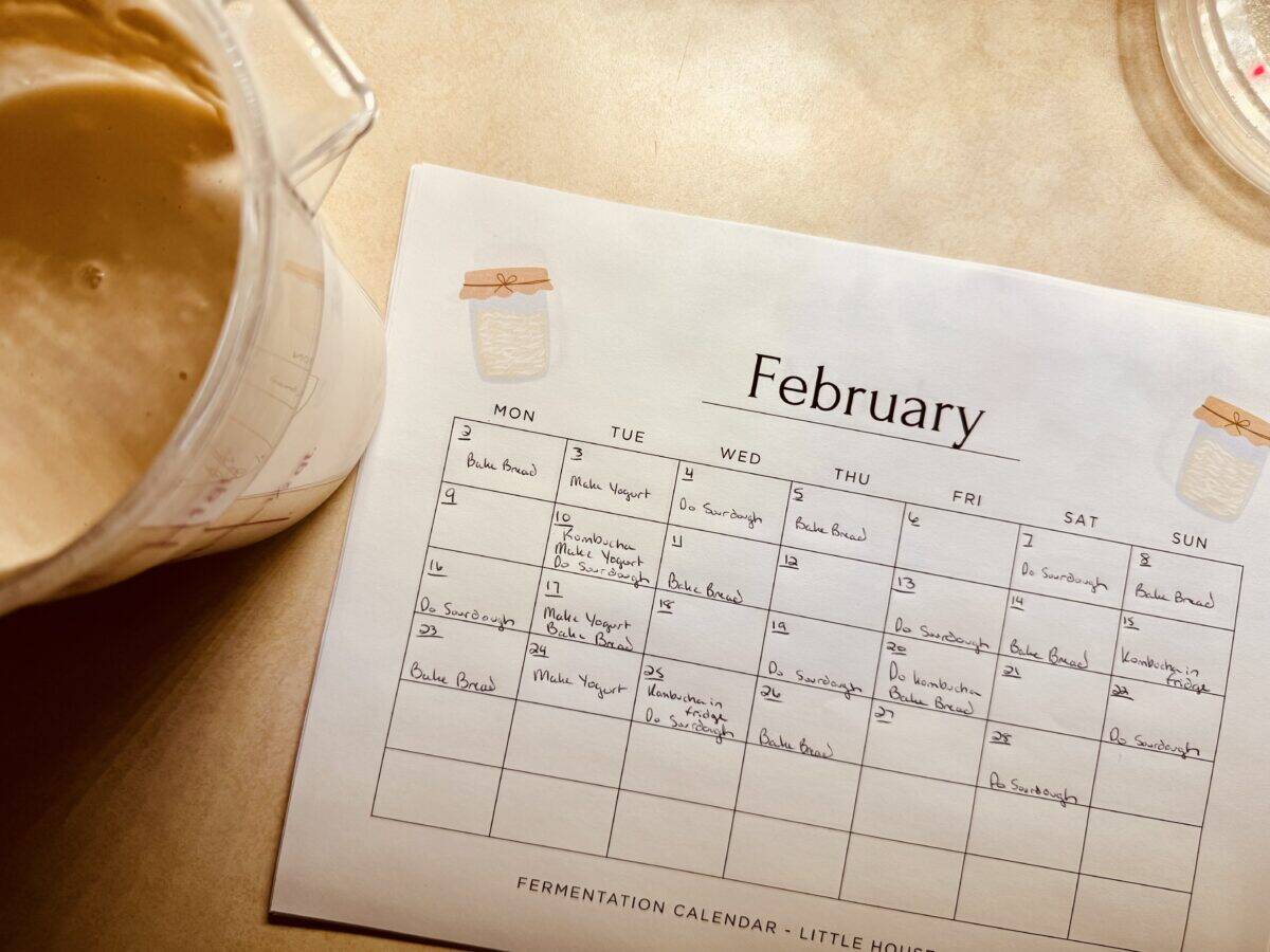 fermenting calender for february