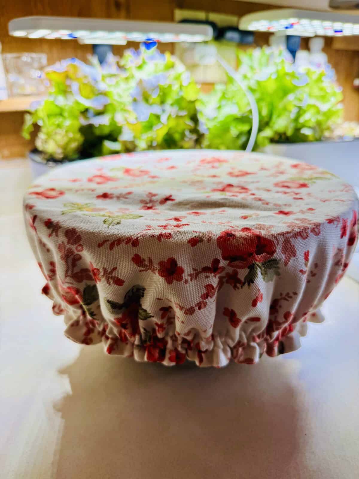 bowl cover
