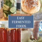 fermented foods pin