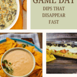 game day dips pin