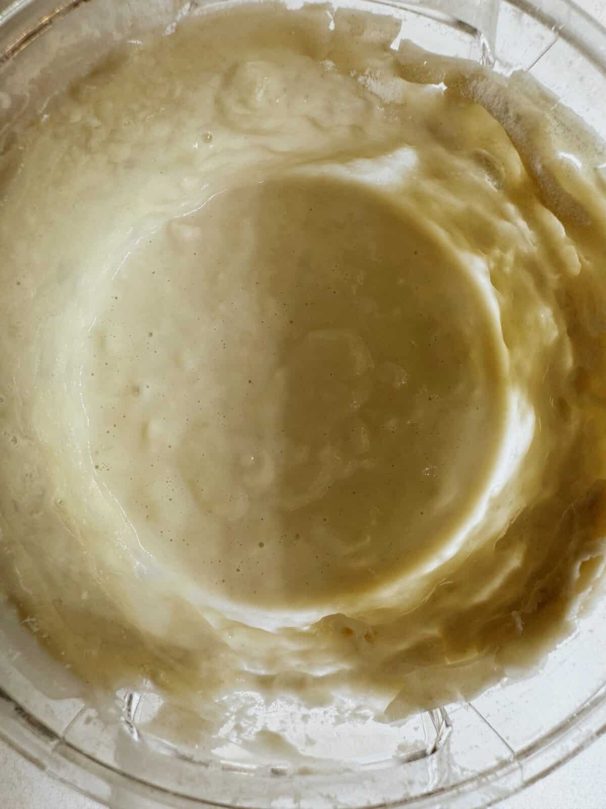 healthy sourdough starter