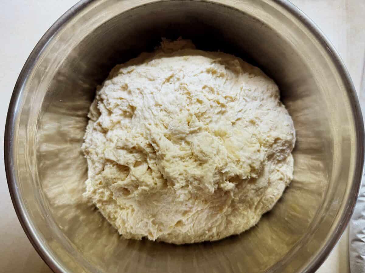 mixed sourdough