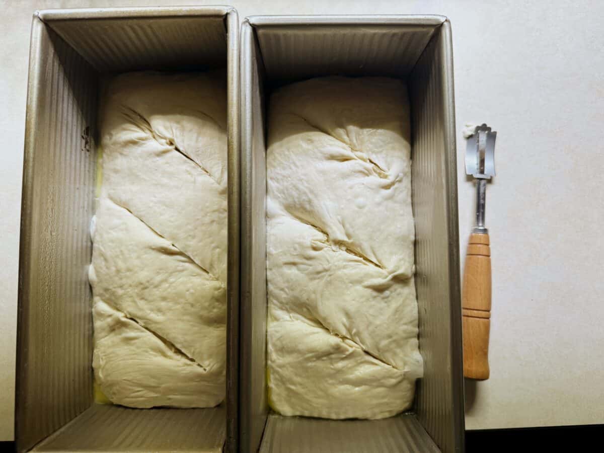 scored dough