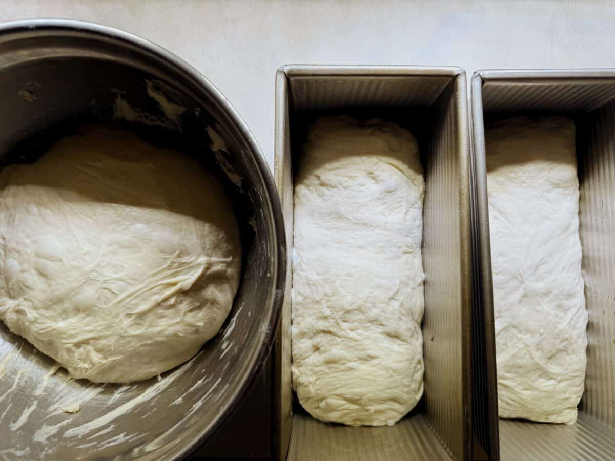 shape dough